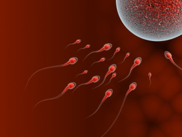 sperm attack, by jscreationzs / www.freedigitalphotos.net